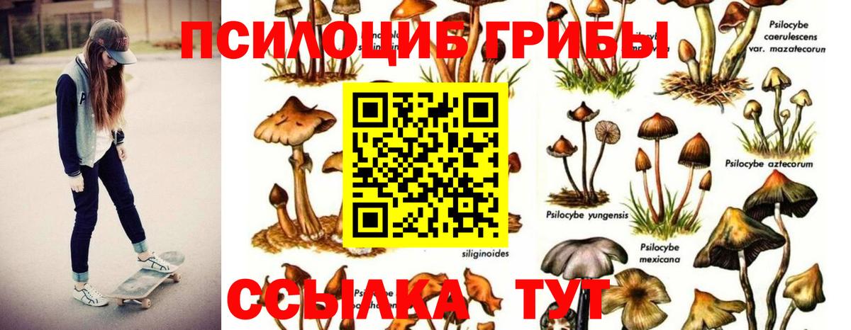 Ханты-Мансийск  Псилоцибиновые грибы ЛСД  Вход с VPN 